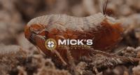 Mick's Fleas Control Perth image 7